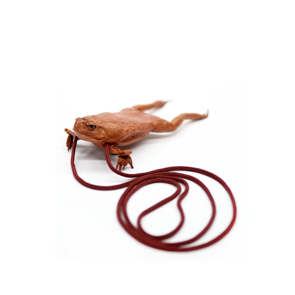 FROG POUCH