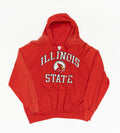 Illinois Hoodie